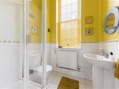 Picture 8